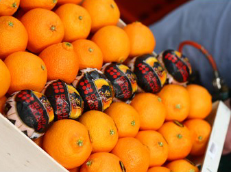 moroccanoranges.jpg