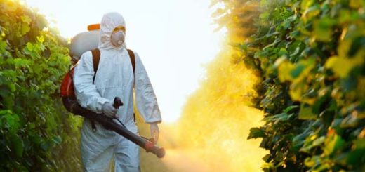 pesticides3.jpg