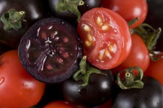 purple-tomato.jpg