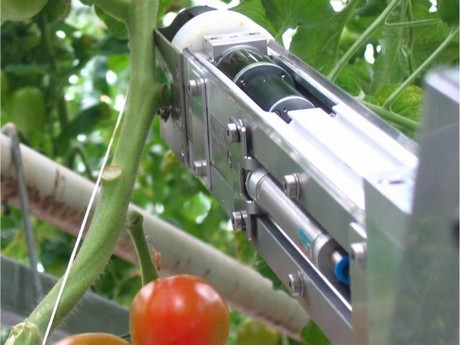 3-priva_robot_coupe_tomate.jpg