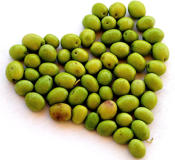 olives_3.png