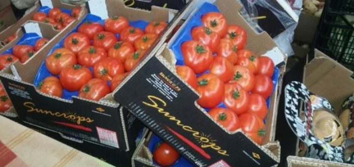 tomate_suncrops.jpg