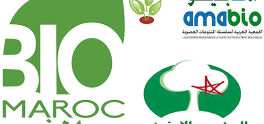 logo_bio_maroc.gif