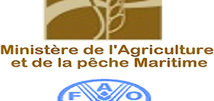 maroc_1ere_conference_internationale_sur_la_cooperation_sud-sud_du_13_au_14_decembre_a_marrakech.png