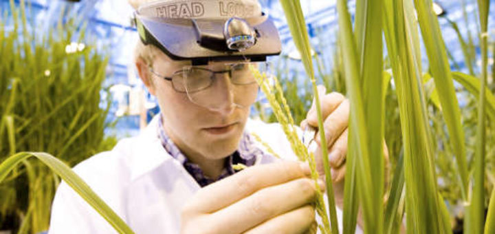 bayer-cropscience.jpg