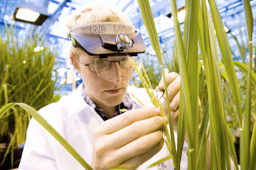 bayer-cropscience.jpg