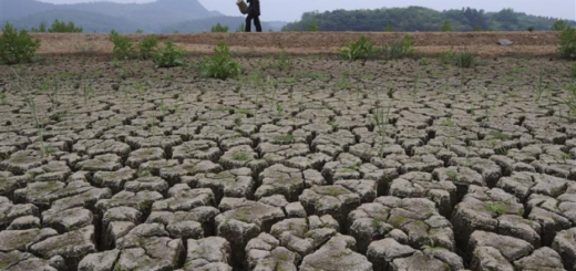 changement_climatiques.png