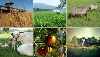 tunisie_agriculture.jpg