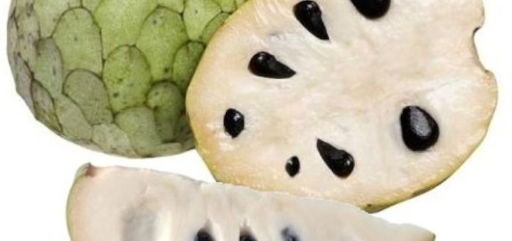 cherimoya.jpg