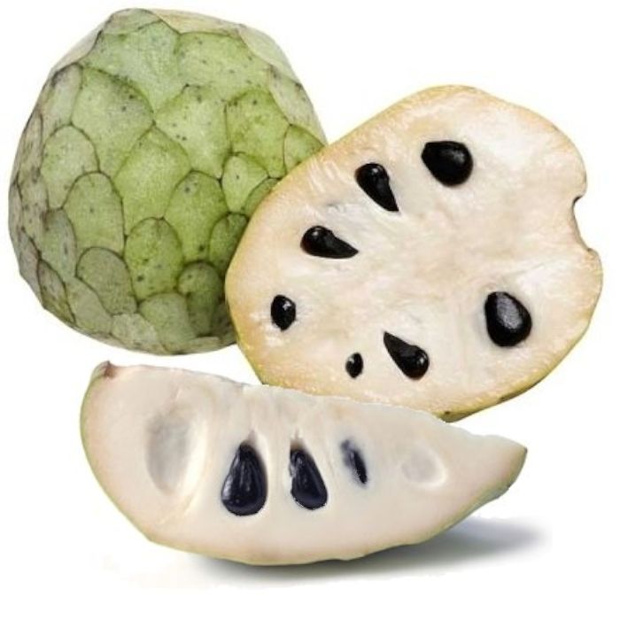 cherimoya.jpg