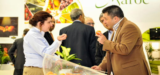 fruit-logistica-maroc-export.png