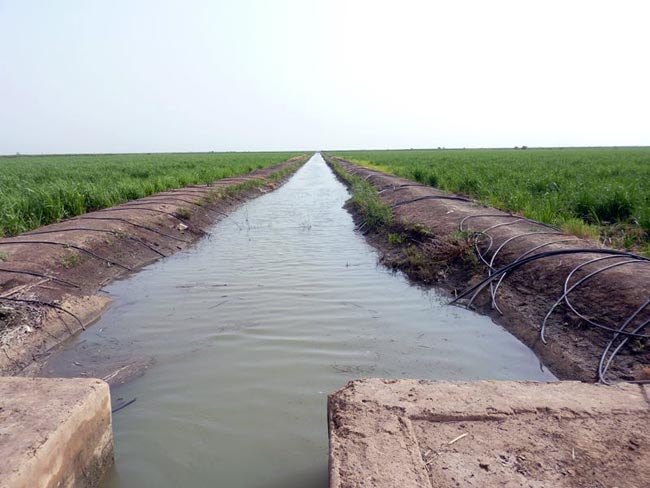 irrigation_gravitaire.jpg