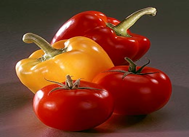 poivrons-et-tomates.png