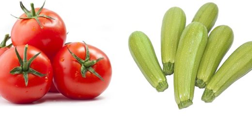 tomate_et_courgette.jpg