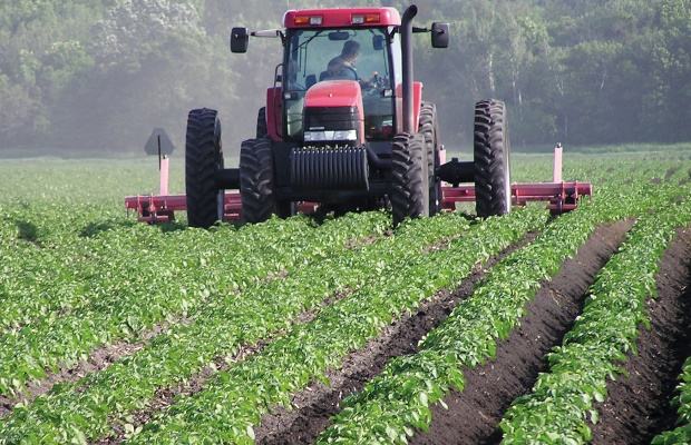 agriculture_tunisie.jpg