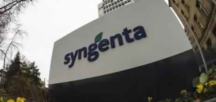 syngenta.jpg