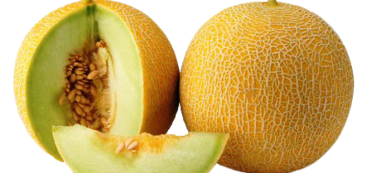 melon_galia.png