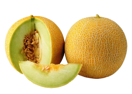 field_image_melon_galia.png