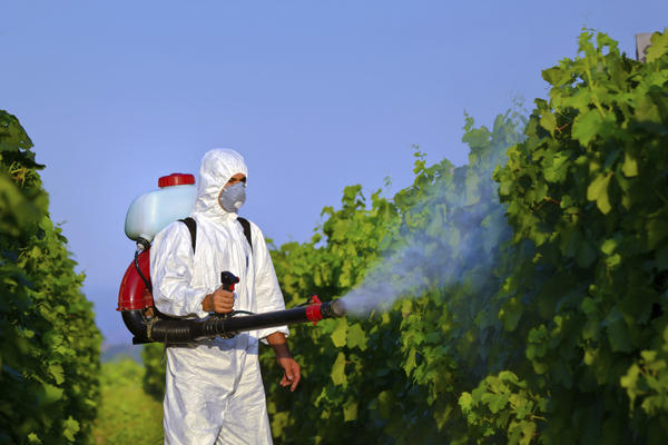 utilisation_des_pesticides.jpg