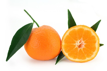 mandarine.jpg