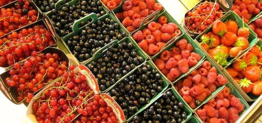 fruits-rouges.jpg