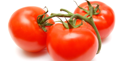 tomate.png