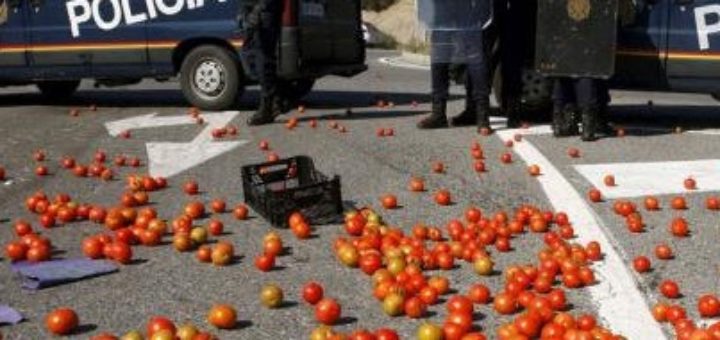 tomate_maroc.jpg