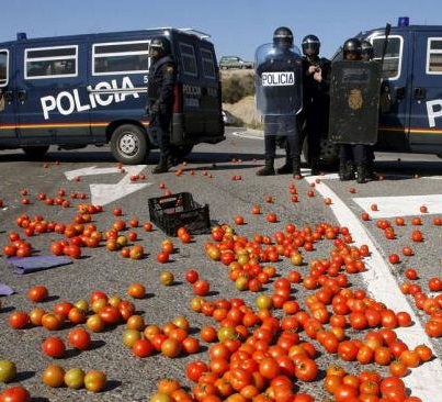 tomate_maroc.jpg