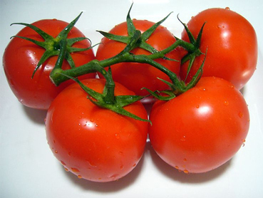 tomatem.jpg
