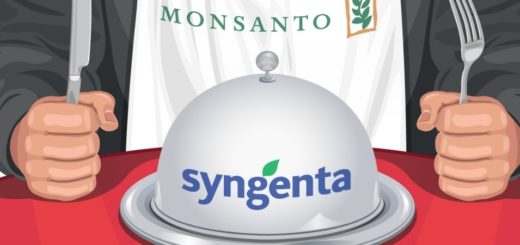 monsanto_syngenta.jpg