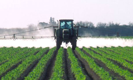 pesticides.jpg