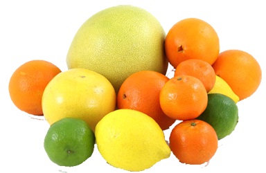 citrus10.08.jpg