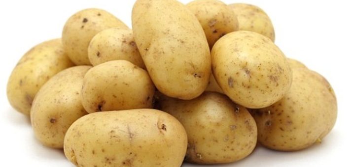 potatoesalge.jpg