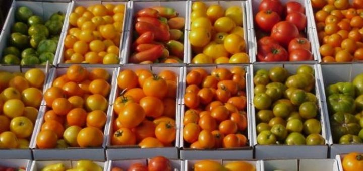 tomates-varietes.jpg