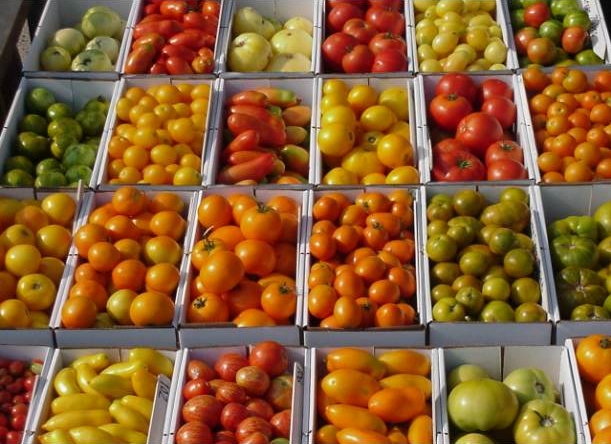 tomates-varietes.jpg