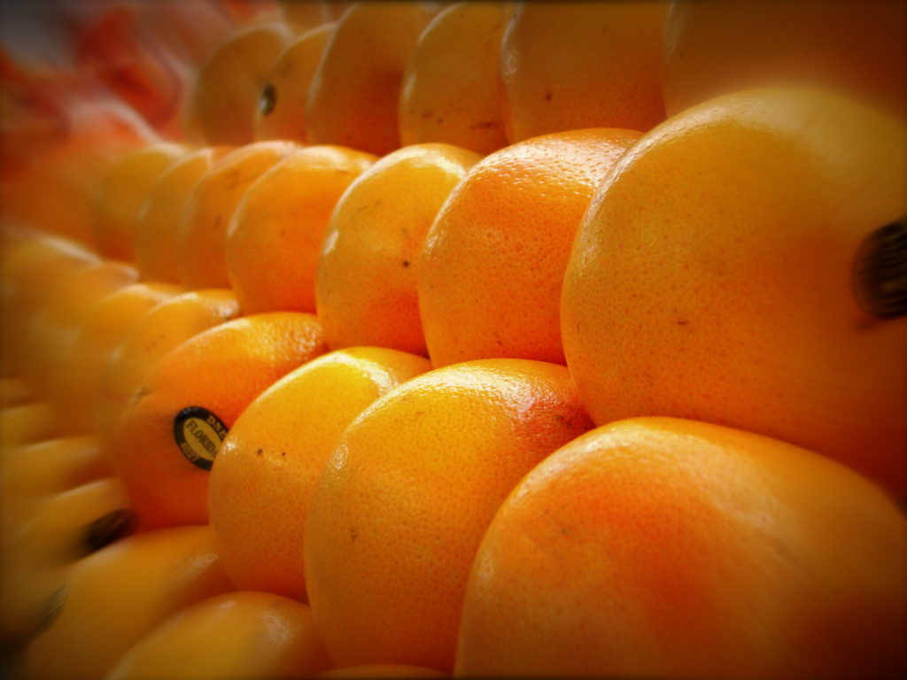 oranges_floride.jpg