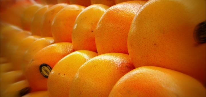 oranges_floride.jpg