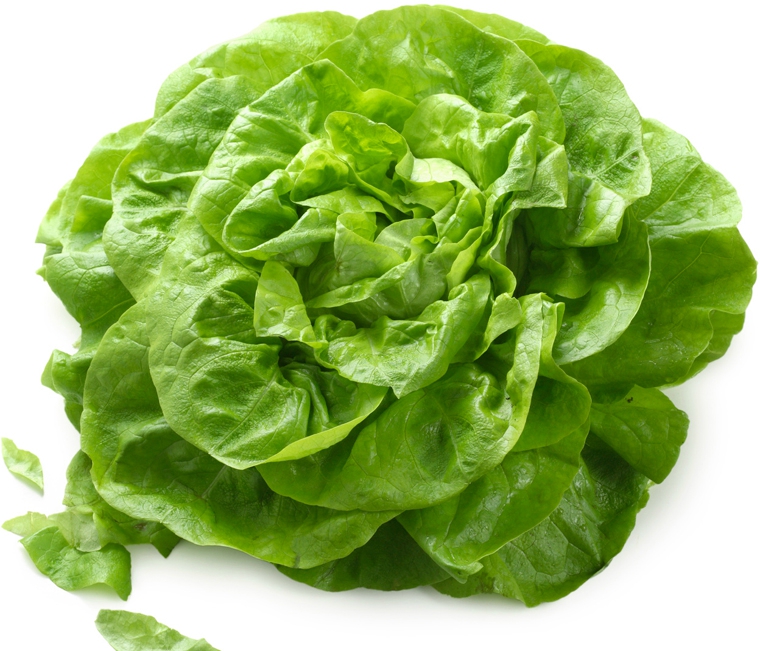 salade_verte.jpg