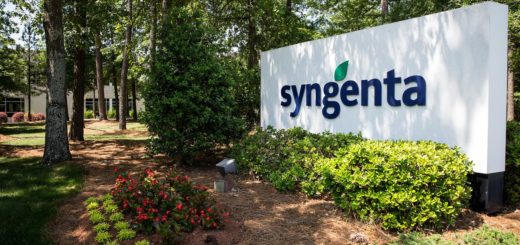 syngenta.jpg