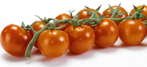 tomate-cherry-rama.jpg