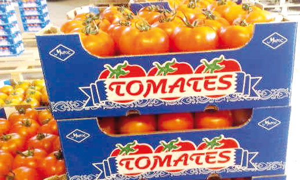 tomate_maroc.jpg