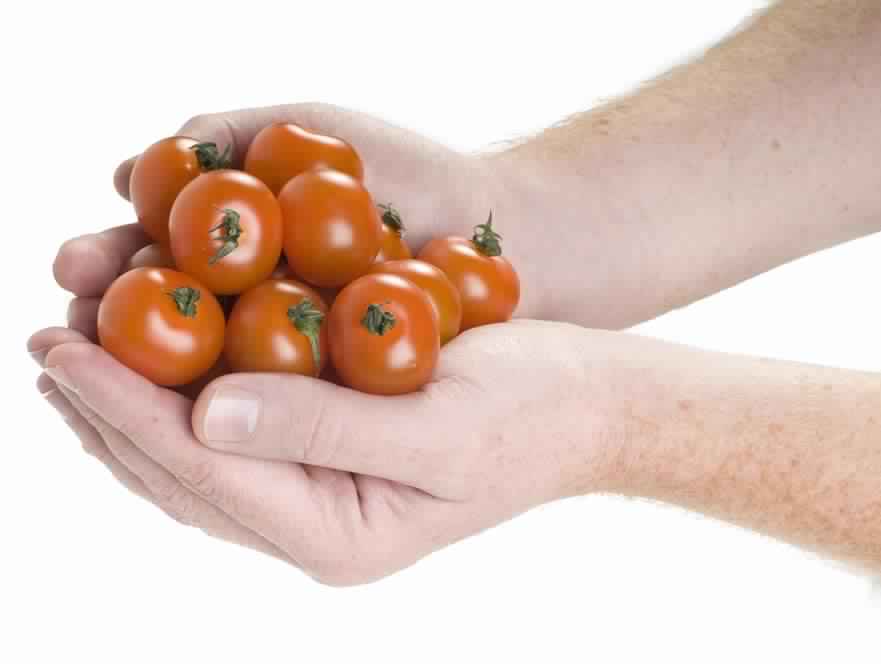 tomate-mains-2.jpg