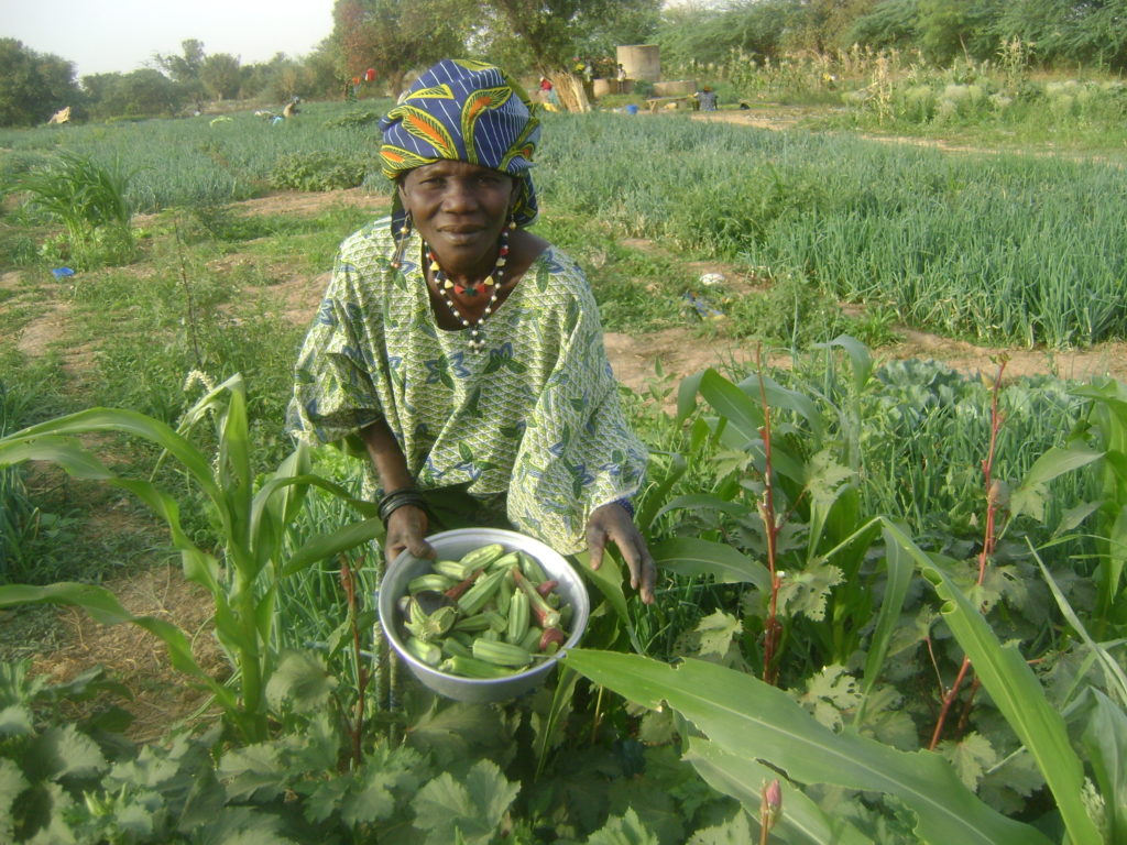 pesticides_senegal.jpg