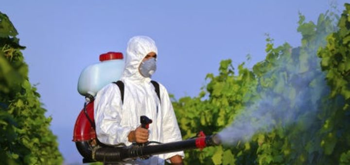 lmr_pesticides.jpg