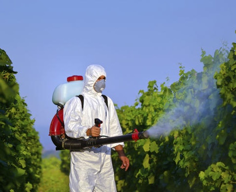 lmr_pesticides.jpg