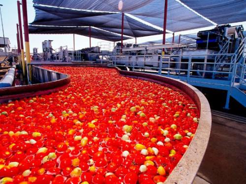 nigeria-tomate.jpg