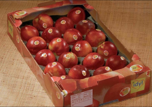 idyl-nectarines.jpg