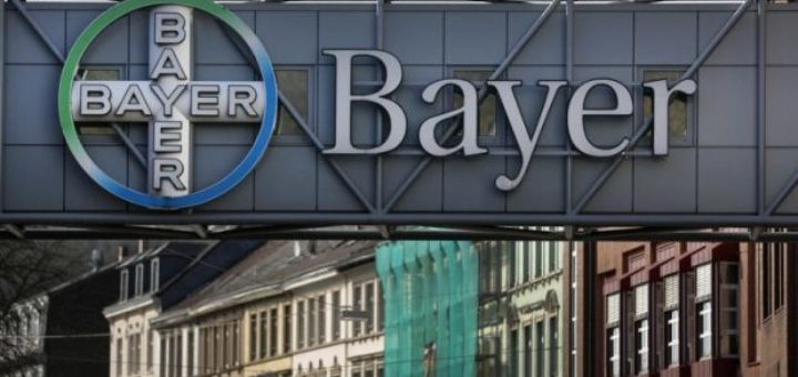 bayer.jpg