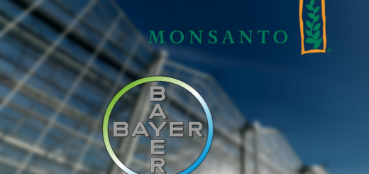 bayer_monsanto.png