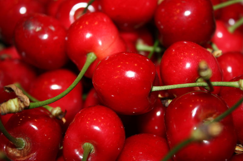 cerises.jpg